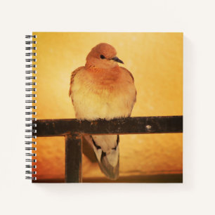 "No photos, please!" Notebook