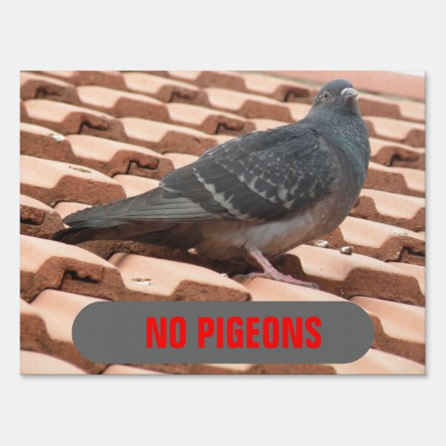 No Pigeons Rooftop Pigeon Funny Customizable Sign