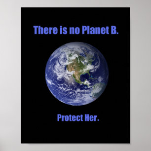 No Planet B Poster