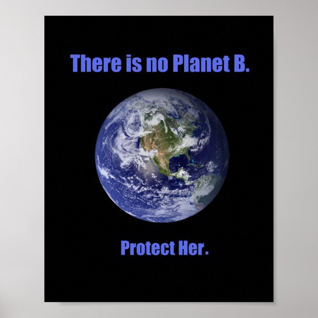 No Planet B Poster (Front)