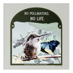 No Pollinators, No Life Acrylic Print