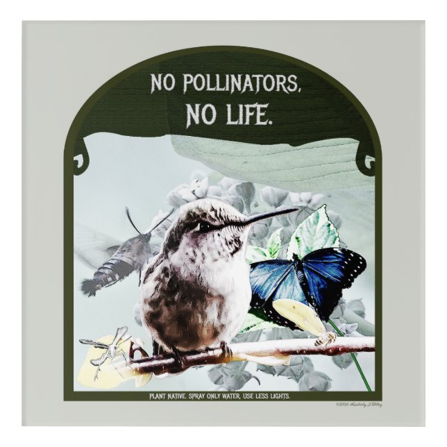 No Pollinators, No Life Acrylic Print (Front)