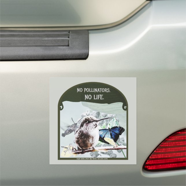No Pollinators, No Life Car Magnet (In Situ)