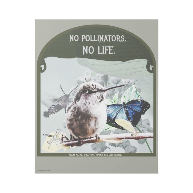 No Pollinators, No Life Gallery Wrap (Front)