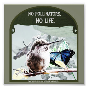 No Pollinators, No Life Photo Print