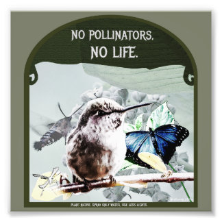 No Pollinators, No Life Photo Print