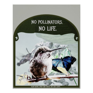 No Pollinators, No Life Poster
