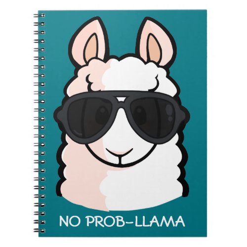 No Prob_llama Notebook