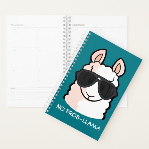 No Prob_Llama Planner