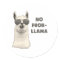 No Problem Llama