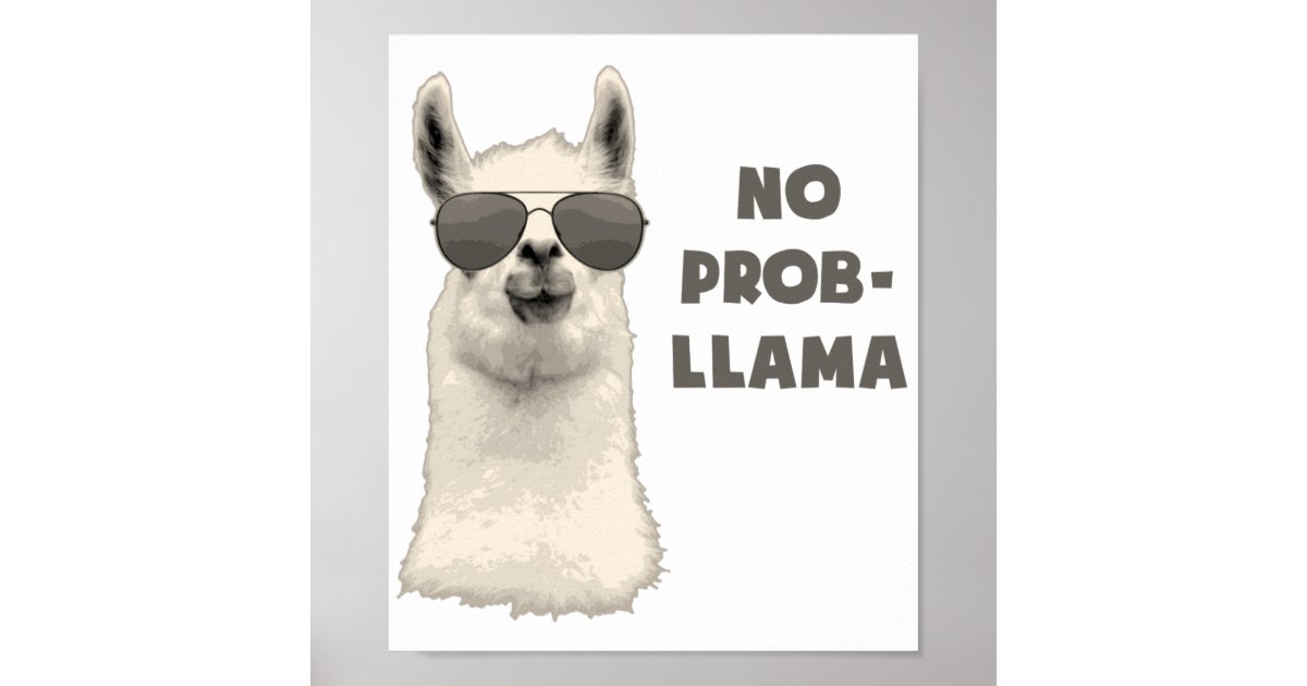 no_problem_llama_poster r8bece9819a944629a89681d9ea673fc5_wyn2_8byvr_630