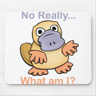 No Really... What am I? Platypus Mouse Pad