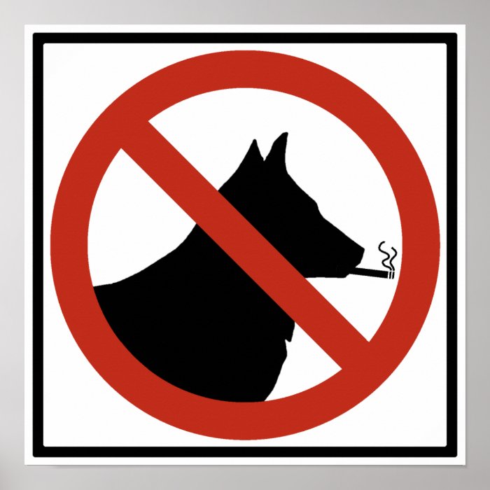 No Smoking Dogs Allowed Highway Sign Poster