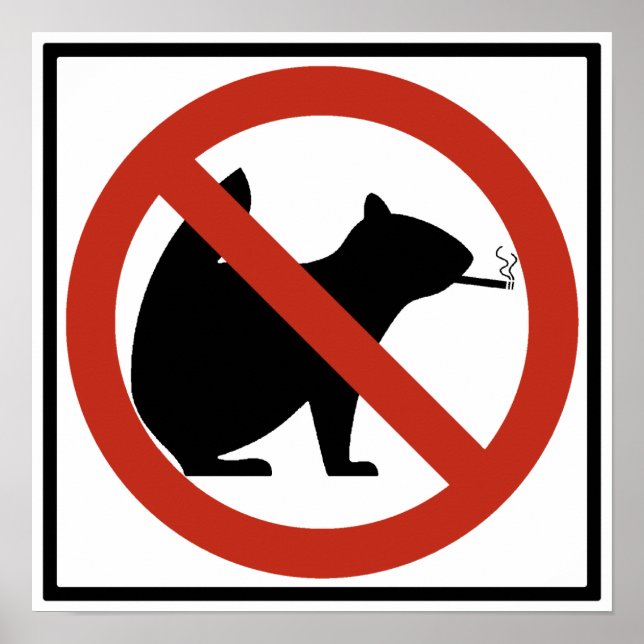 No Smoking Squirrels Allowed Highway Sign (Front)