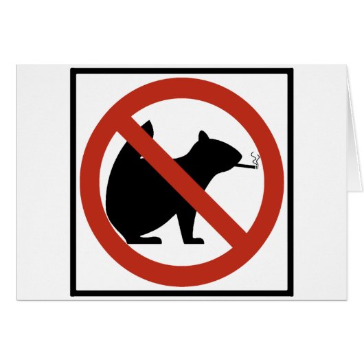 No Smoking Squirrels Allowed Highway Sign Cards (Front Horizontal)