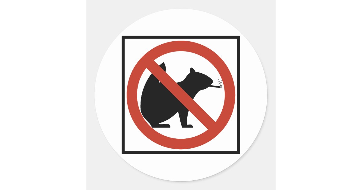 No Smoking Squirrels Allowed Highway Sign Classic Round Sticker | Zazzle