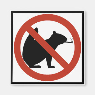 No Smoking Squirrels Allowed Highway Sign Magnet
