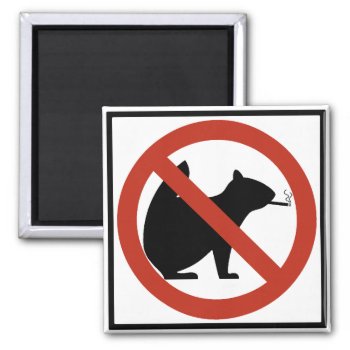 No Smoking Squirrels Allowed Highway Sign Magnet by wesleyowns at Zazzle