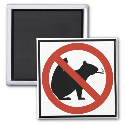 No Smoking Squirrels Allowed Highway Sign Magnet
