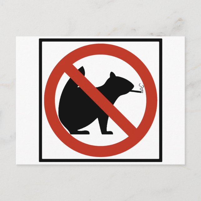 No Smoking Squirrels Allowed Highway Sign Postcard (Front)