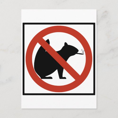No Smoking Squirrels Allowed Highway Sign Postcard