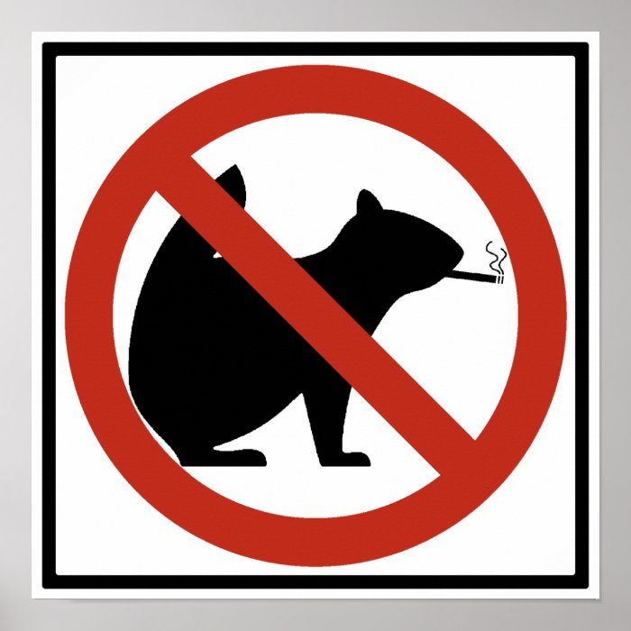 No Smoking Squirrels Allowed Highway Sign Print