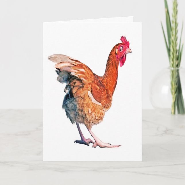 No Spring Chicken Birthday card (Front)