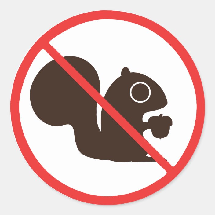 No Squirrels Anti-Squirrel Protest Classic Round Sticker | Zazzle.com