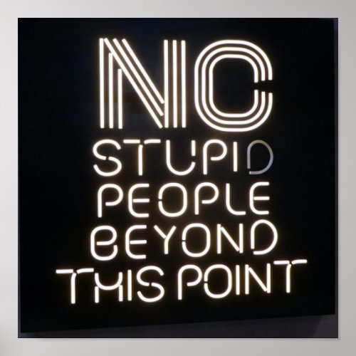 No Stupid People Beyond This Point Funny Neon Sign