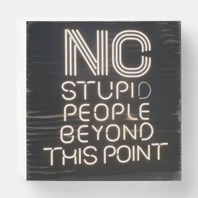 No Stupid People Beyond This Point Funny Neon Sign (Front Horizontal)