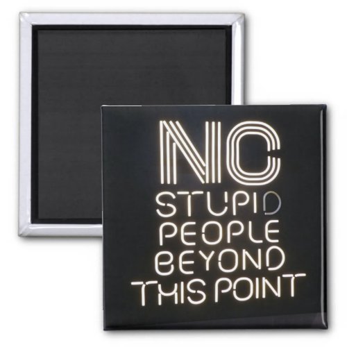 No Stupid People Beyond This Point Funny Neon Sign Magnet