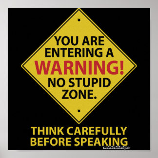 No Stupid Zone Poster