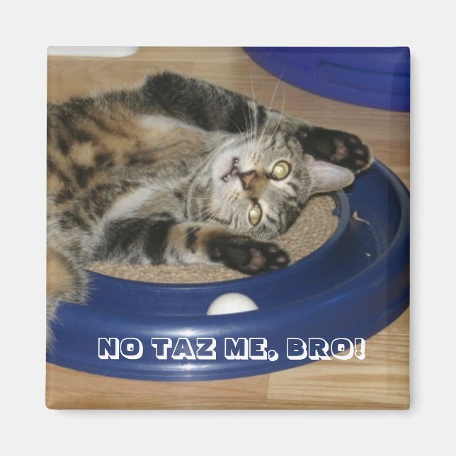NO TAZ ME, BRO! MAGNET (Front)
