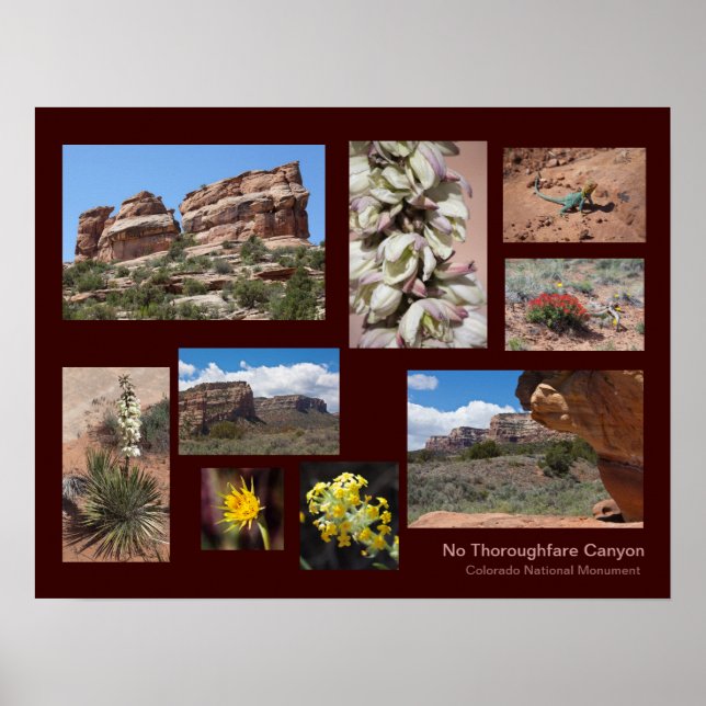 No Thoroughfare Canyon Personalized Travel  Poster (Front)
