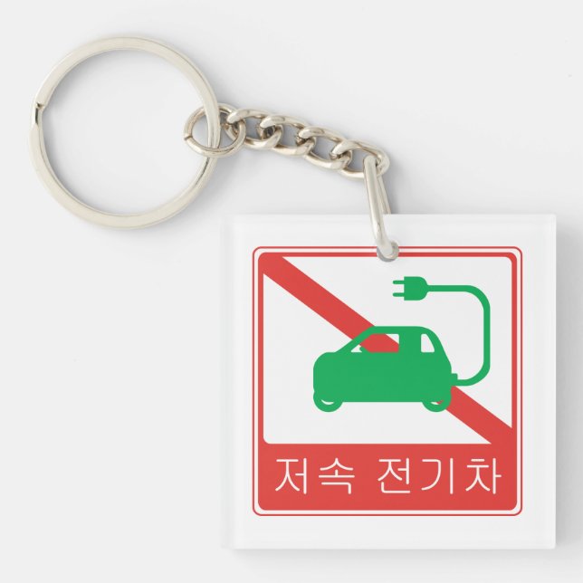 NO Thoroughfare for NEVs Korean Traffic Sign Keychain (Front)