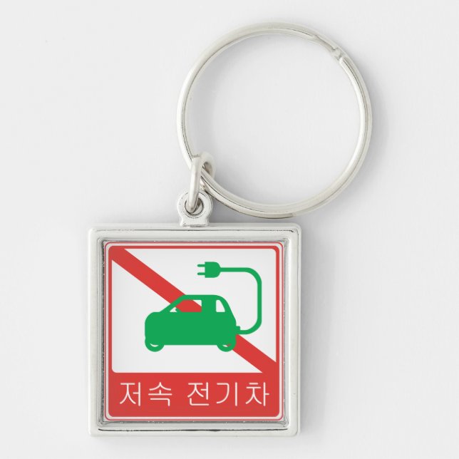 NO Thoroughfare for NEVs Korean Traffic Sign Keychain (Front)