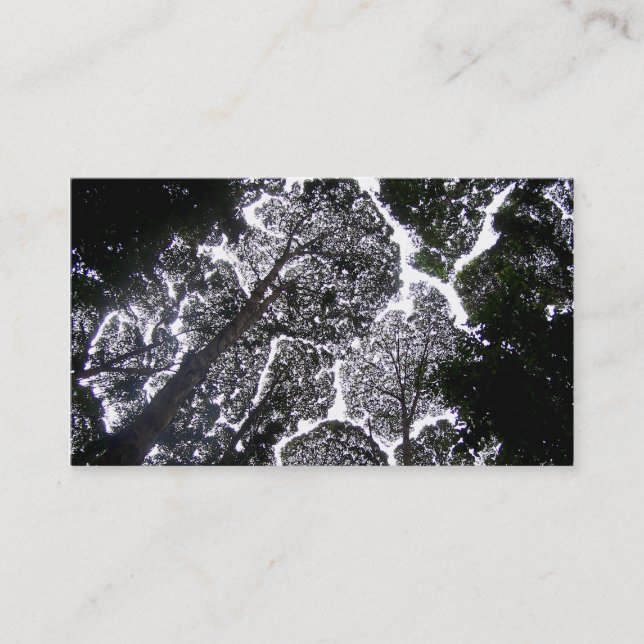 no touch trees landscaping business card (Front)