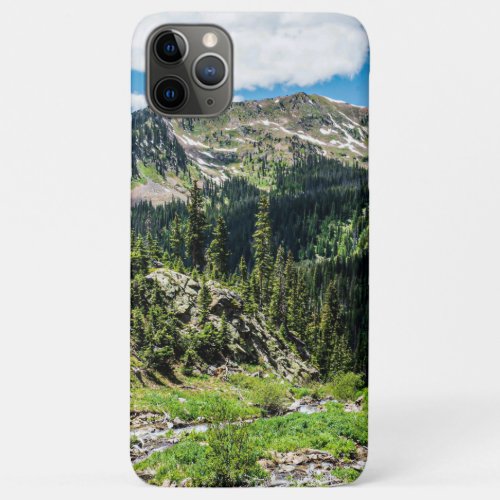 No Trails to the Top  Blissful Beauty iPhone 11 Pro Max Case