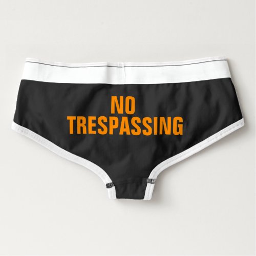 No Trespassing Funny Sarcastic Bride Wife Feminist Briefs