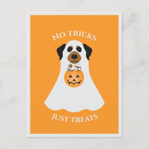 No Tricks Just Treats Halloween Dog Postcard