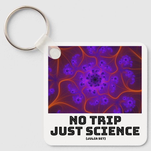 No Trip Just Science Mandelbrot Julia Set Fractal  Keychain (Front)