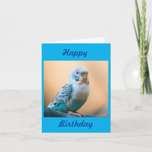 NO TWEET ONLY A CARD WILL DO FOR BIRTHDAY CARD