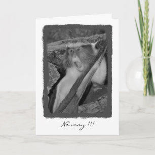 No way, Birthday! Card