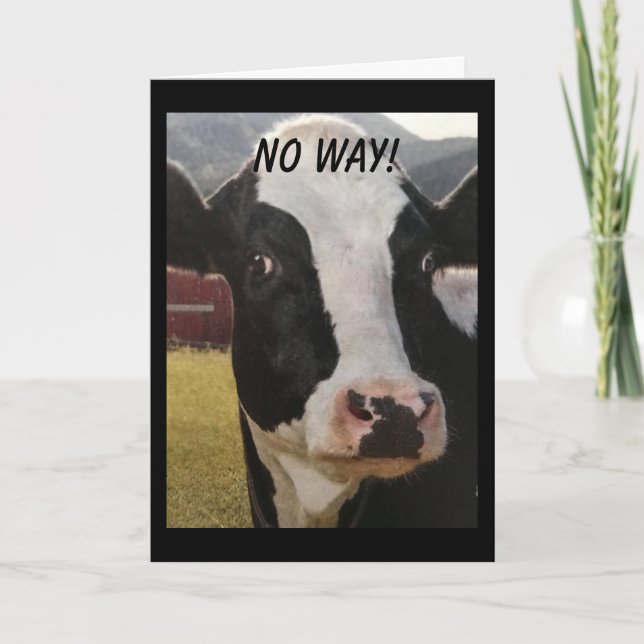 no WAY or no HAY - YOU ARE TURNING 21 CONGRATS Card (Front)