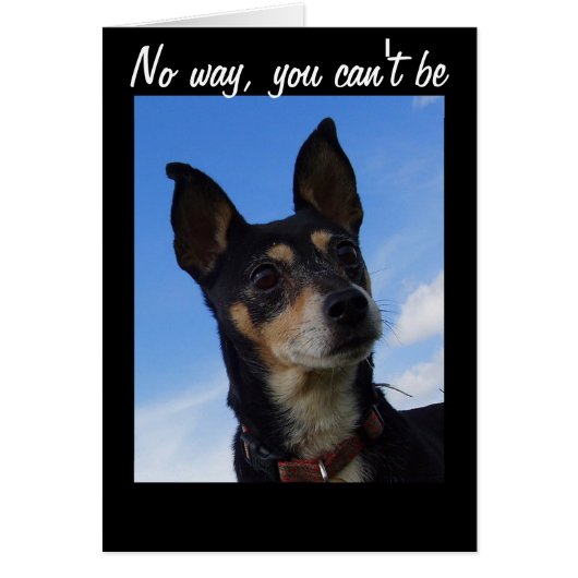 NO WAY YOU ARE 50! CARDS (Front)