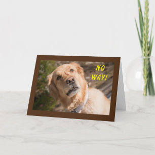 NO WAY "YOU" ARE TURNING **70** CARD