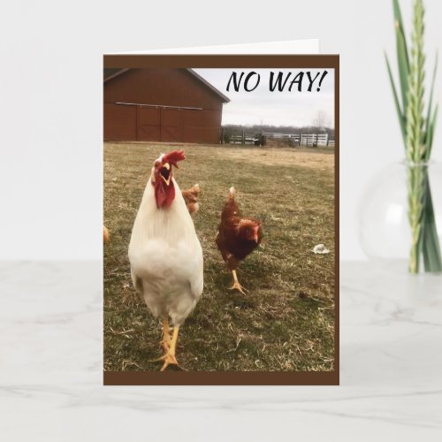NO WAY YOU CAN'T BE 
