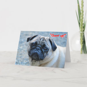 No Wrinkles Pug Birthday Card