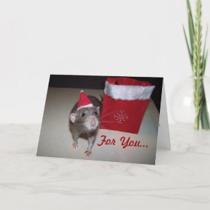 Noah Christmas Card 2