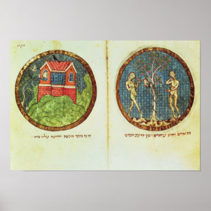 Noah's Ark and Adam and Eve Poster